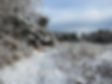 IMG_2548-compressed.JPG