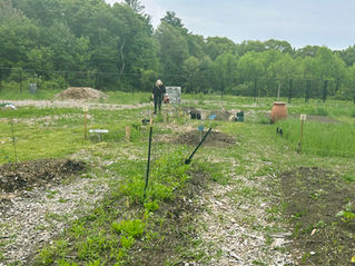 Hooray Appleton Field! We met our 5-year goals!