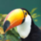 Muda Tudo Casa Shopping