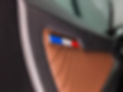 ALPINE CUIR.png.jpeg