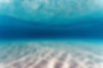 pexels-kammeran-gonzalez-keola-3137381-30391119.jpg