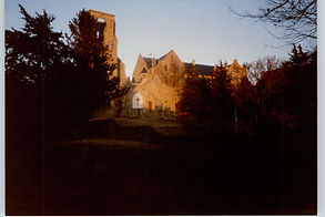 Image8_41.jpeg