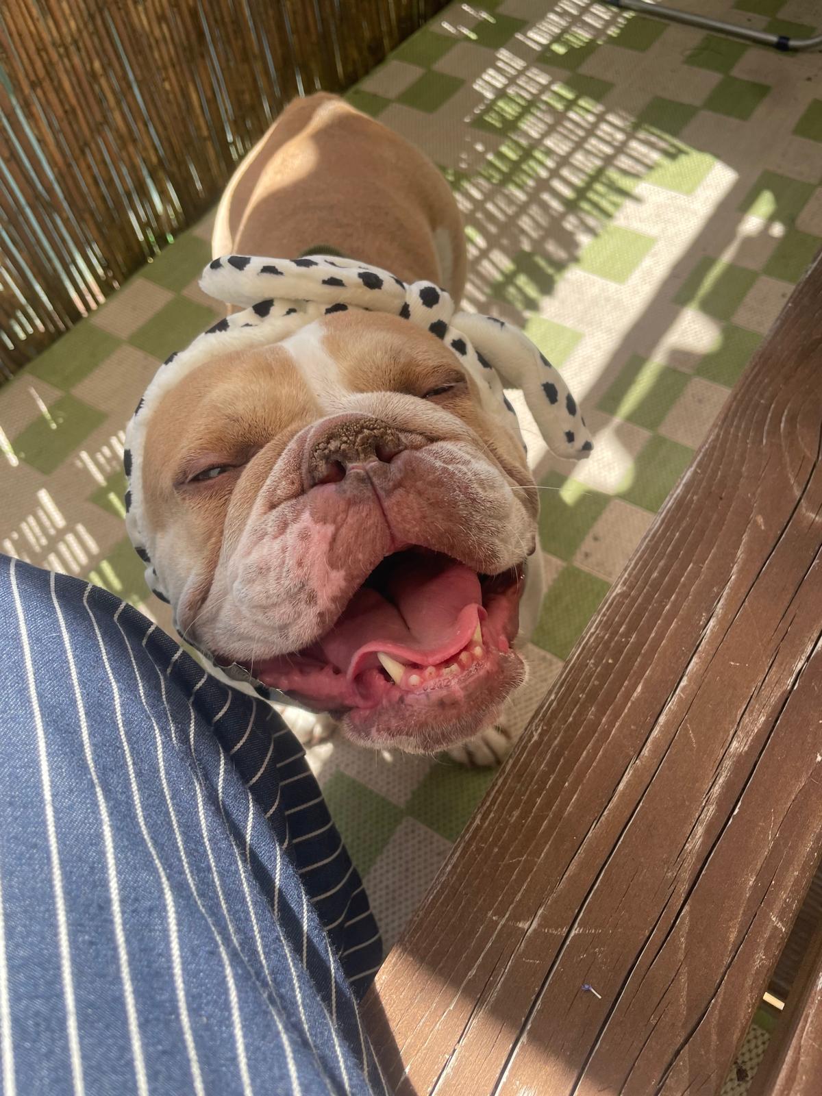 WhatsApp Image 2025-09-11 at 20.18.54.jpg