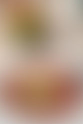 ¿Qué vino es el Lambrusco? Variedades de Lambrusco y cómo tomarlo