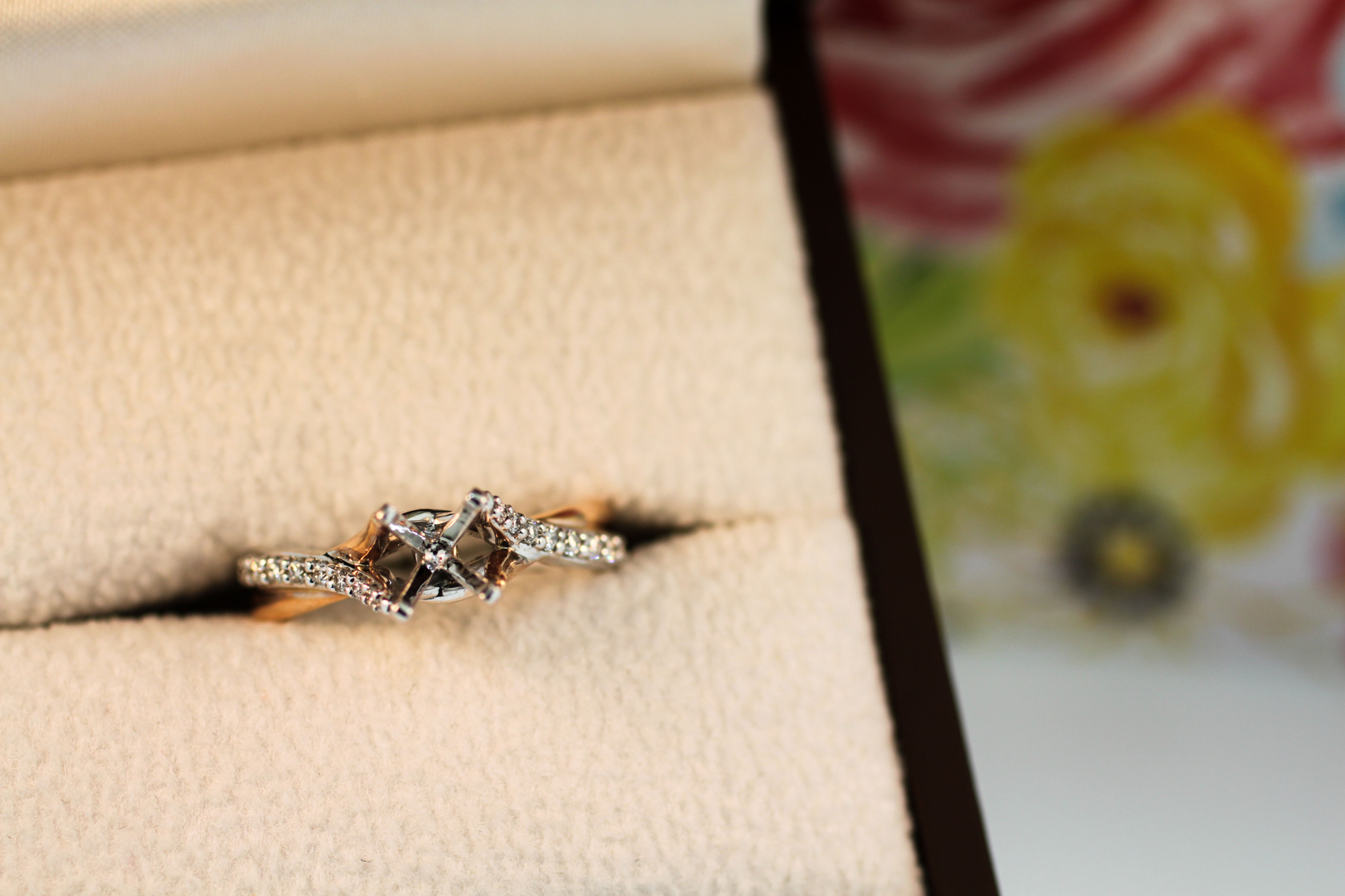 Love and Diamonds Engagement Ring