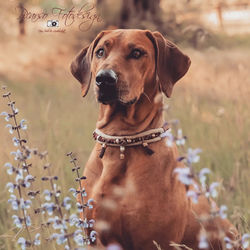 306456747_520915926704505_650597627350226035_n