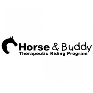 Horse and Buddy