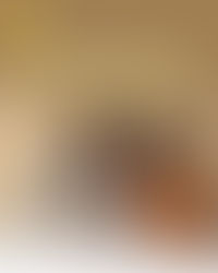 Navyug Smart Mini City: Premium Living with Modern Homes in Prayagraj