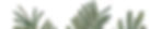 HEADER9_edited.jpg