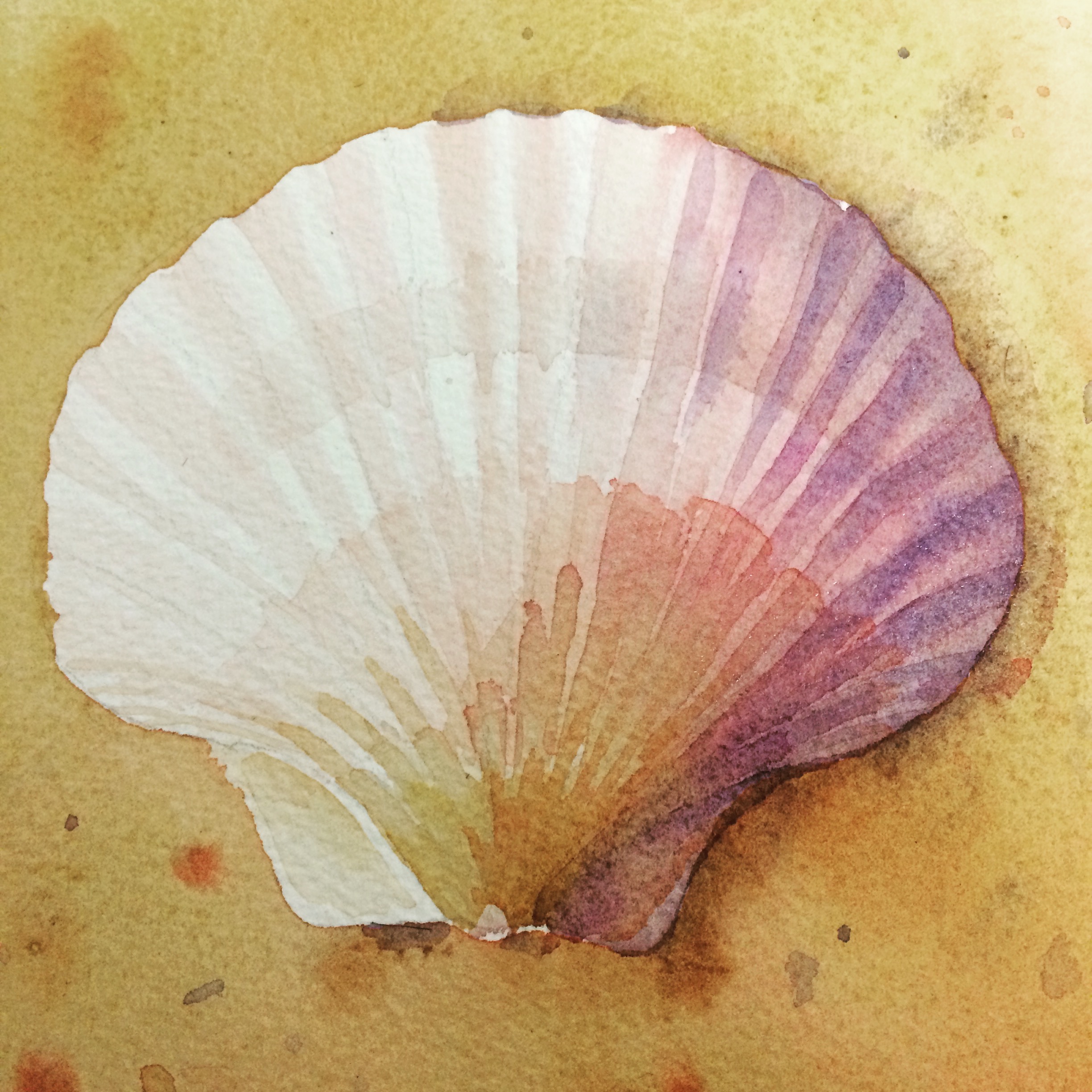 Shell