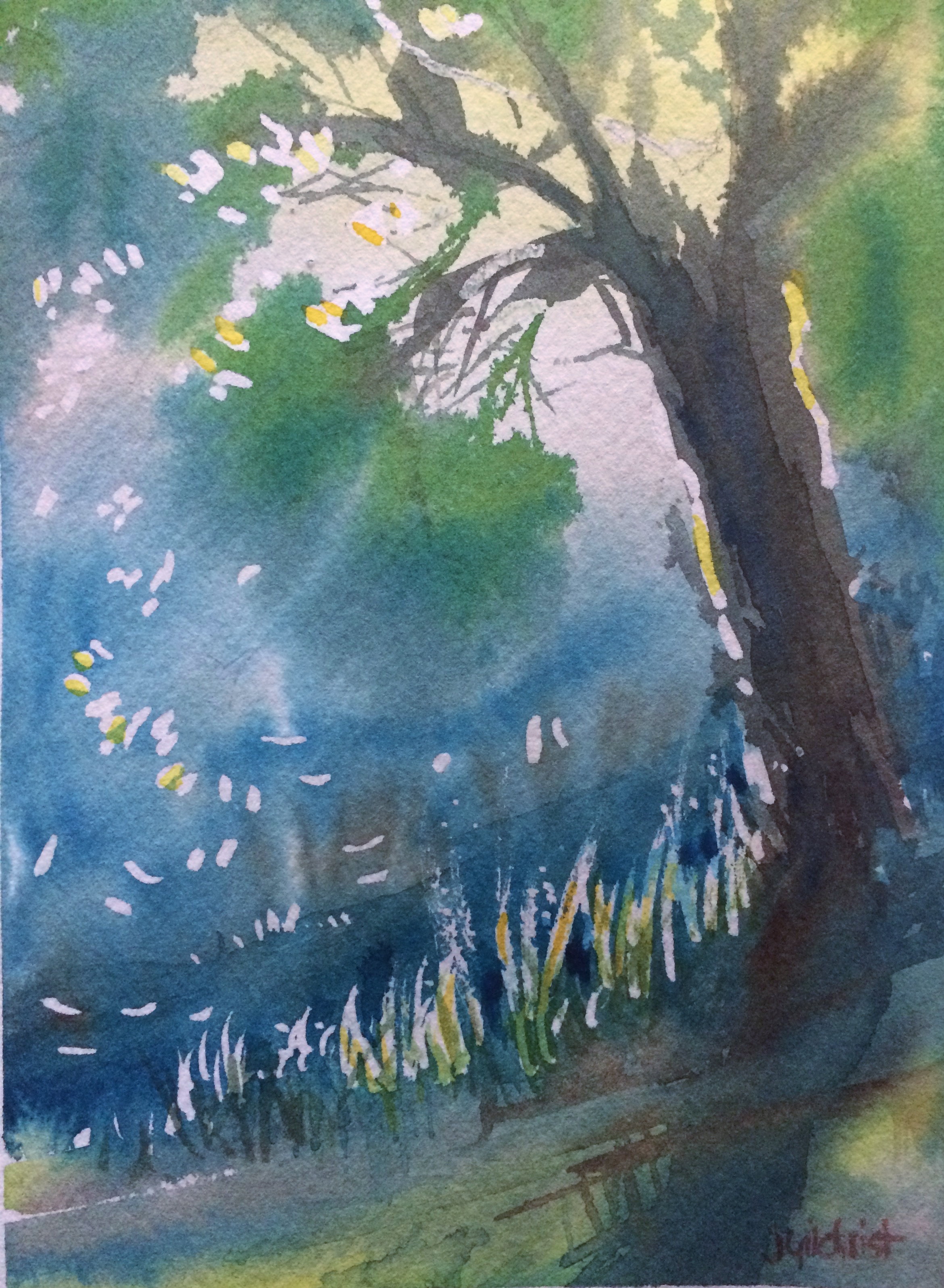 Misty Gully