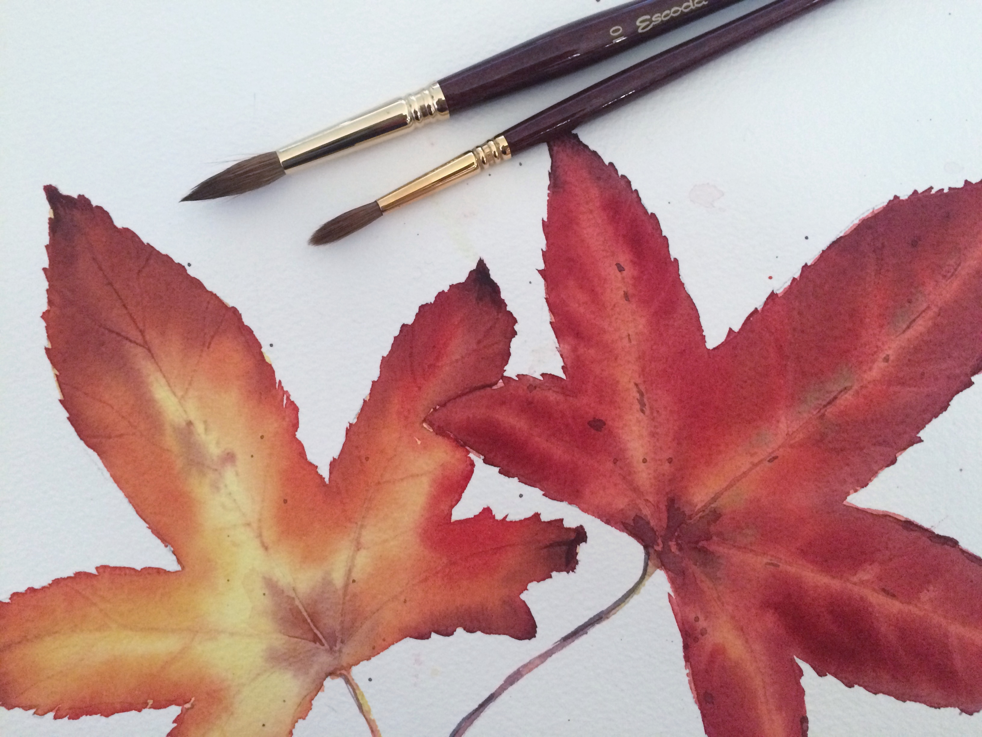 autumn Leaves