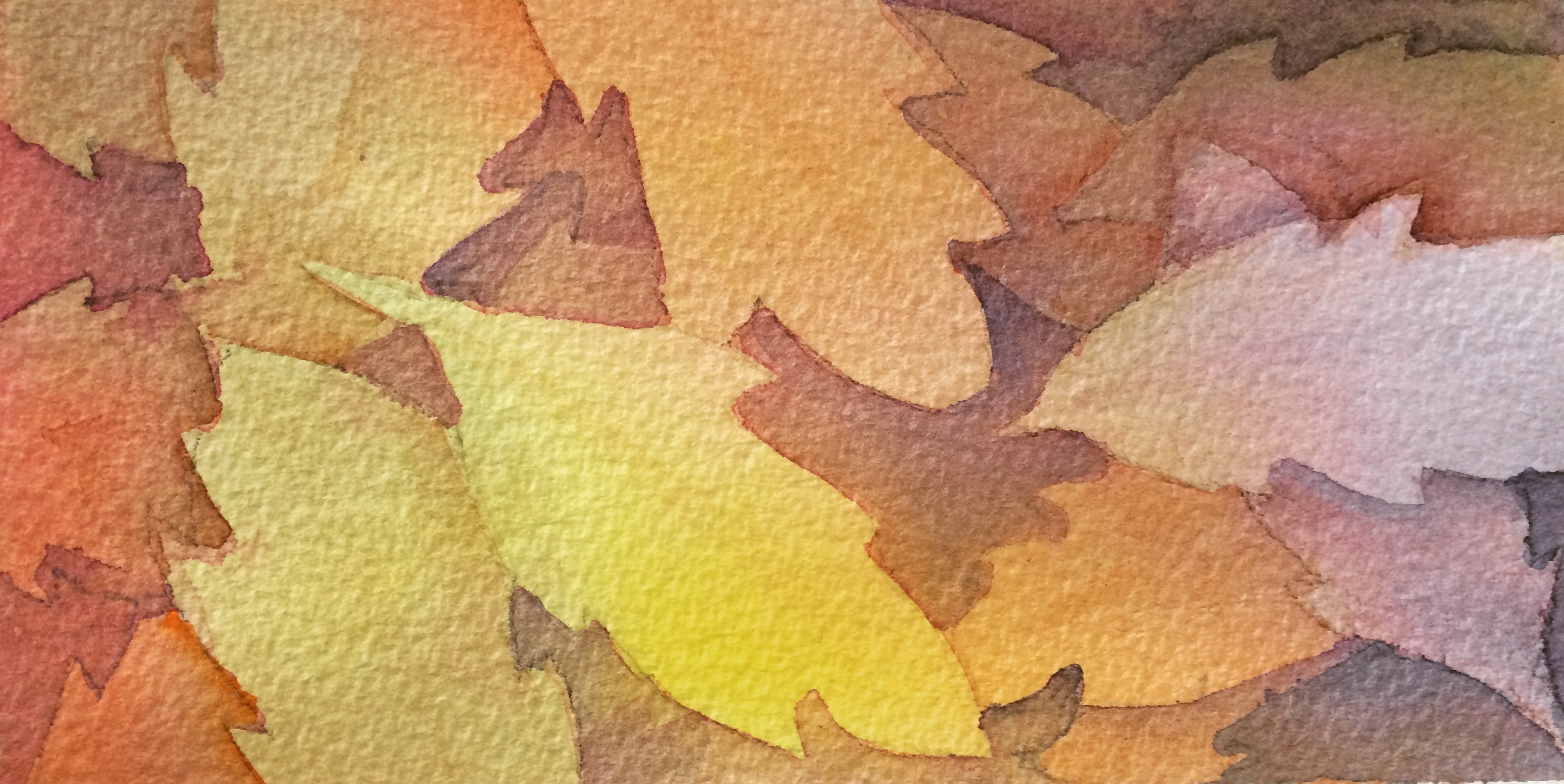 Lovely leaves