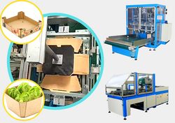 Formación de Cajas de Madera en máquinas Teco