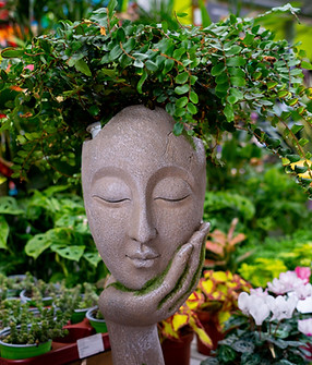 Cerjardín 2023 3 (1 de 1).jpg