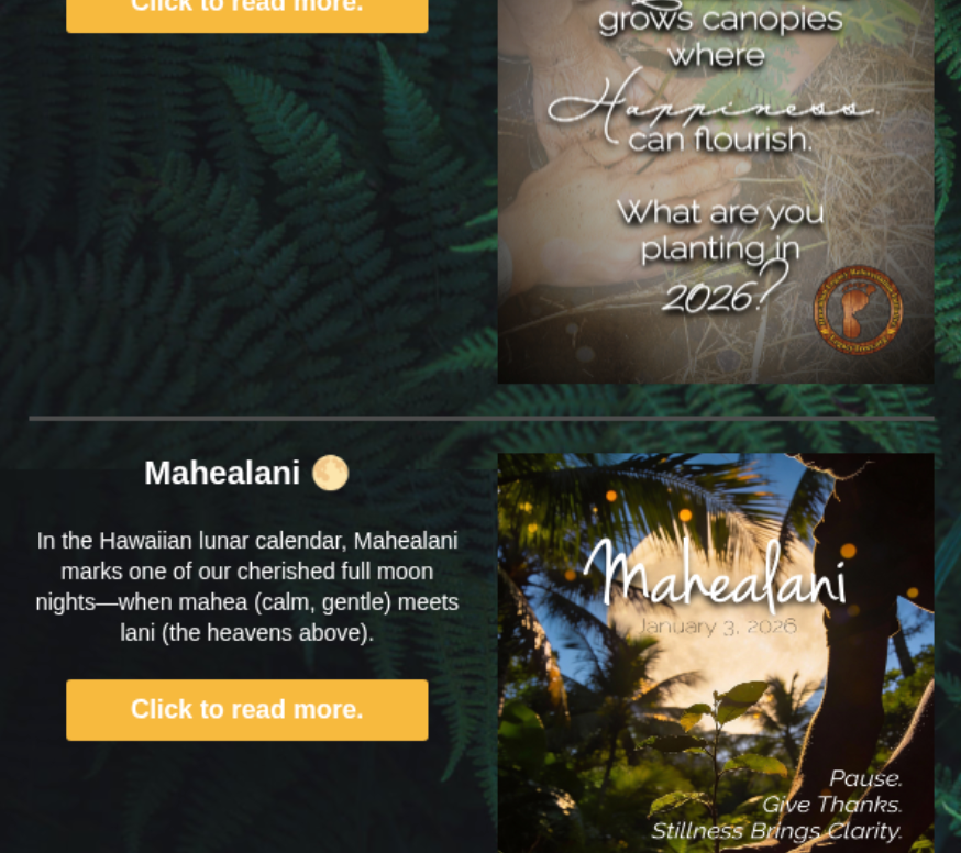 Screenshot 2026-04-05 at 4.12.08 AM.png