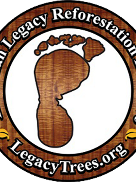 Hawaiian Legacy Reforestation Initiative Launches 400-Acre Hawaiian Legacy Forest at Haleiwa