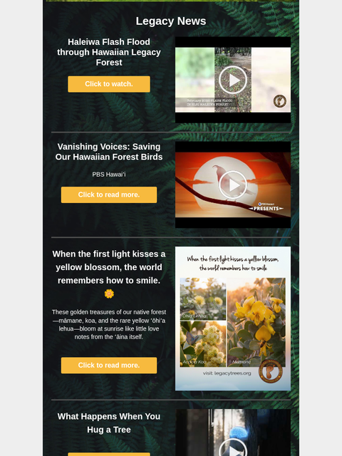 February Newsletter