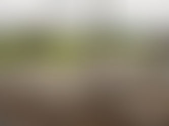 MFH Bazenheid, Update