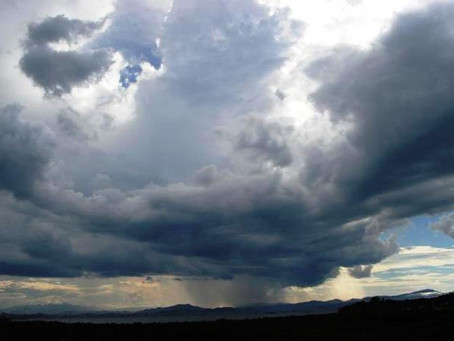 Previsão do tempo: chuva pode atrapalhar a colheita do milho no Paraná