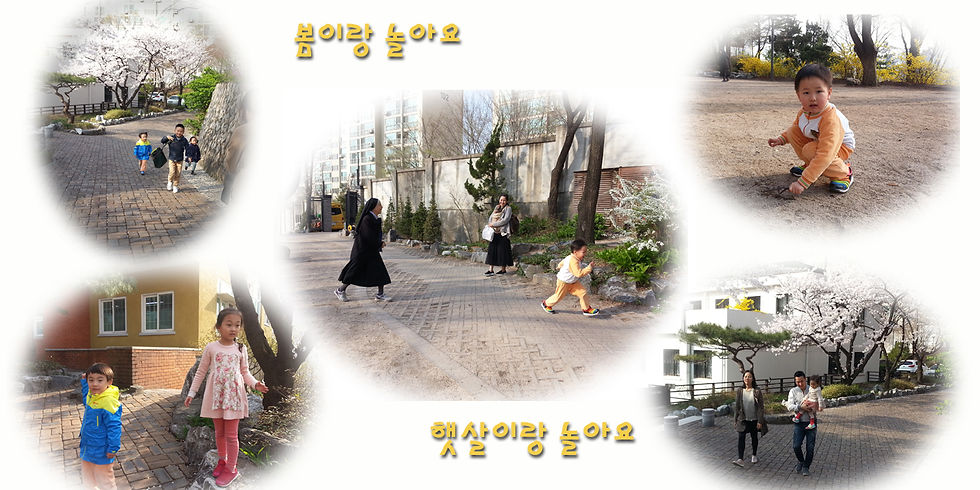 4월7일 화사한 벚꽃 동산 베네딕도 원아들과