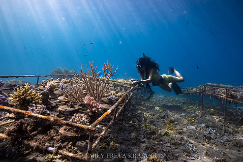 WhatsApp Image 2020-11-17 at 17.45.51 (3).jpeg