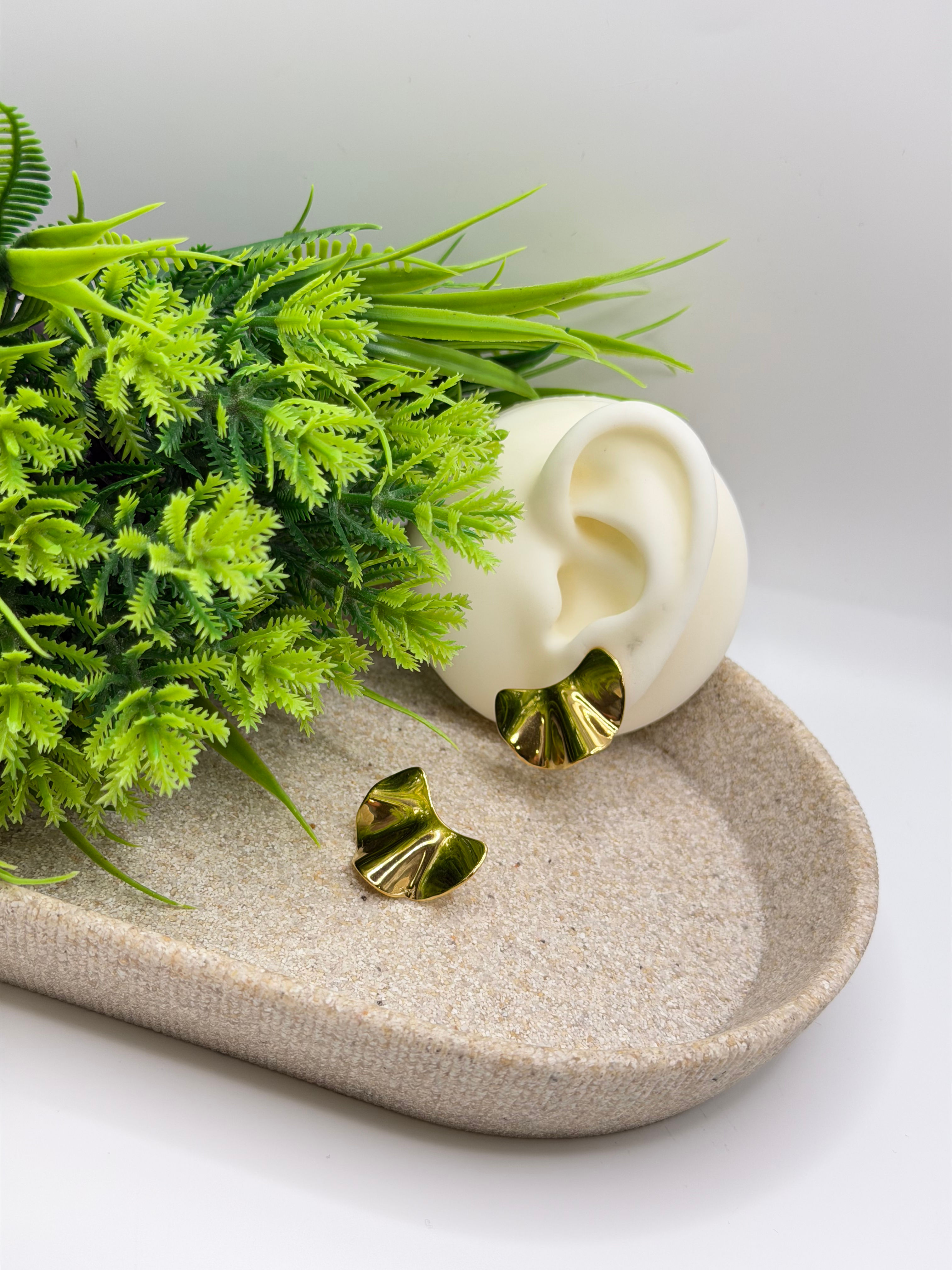 Mono Orecchino Repubblica Dominicana 