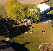 DJI_0415.jpg