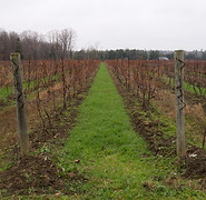 _DSC8758.jpg