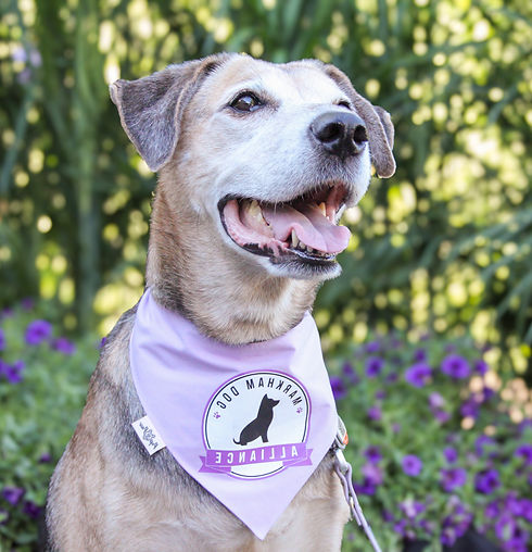 Ellie _ MDA_edited_edited_edited.jpg