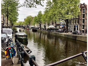 Blooming in Amsterdam