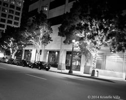 star light in the trees