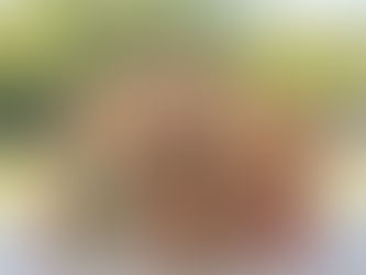 Sourcing Nutritious MREs (Meals Ready to Eat): Bulk Supply for Humanitarian Missions in South Sudan