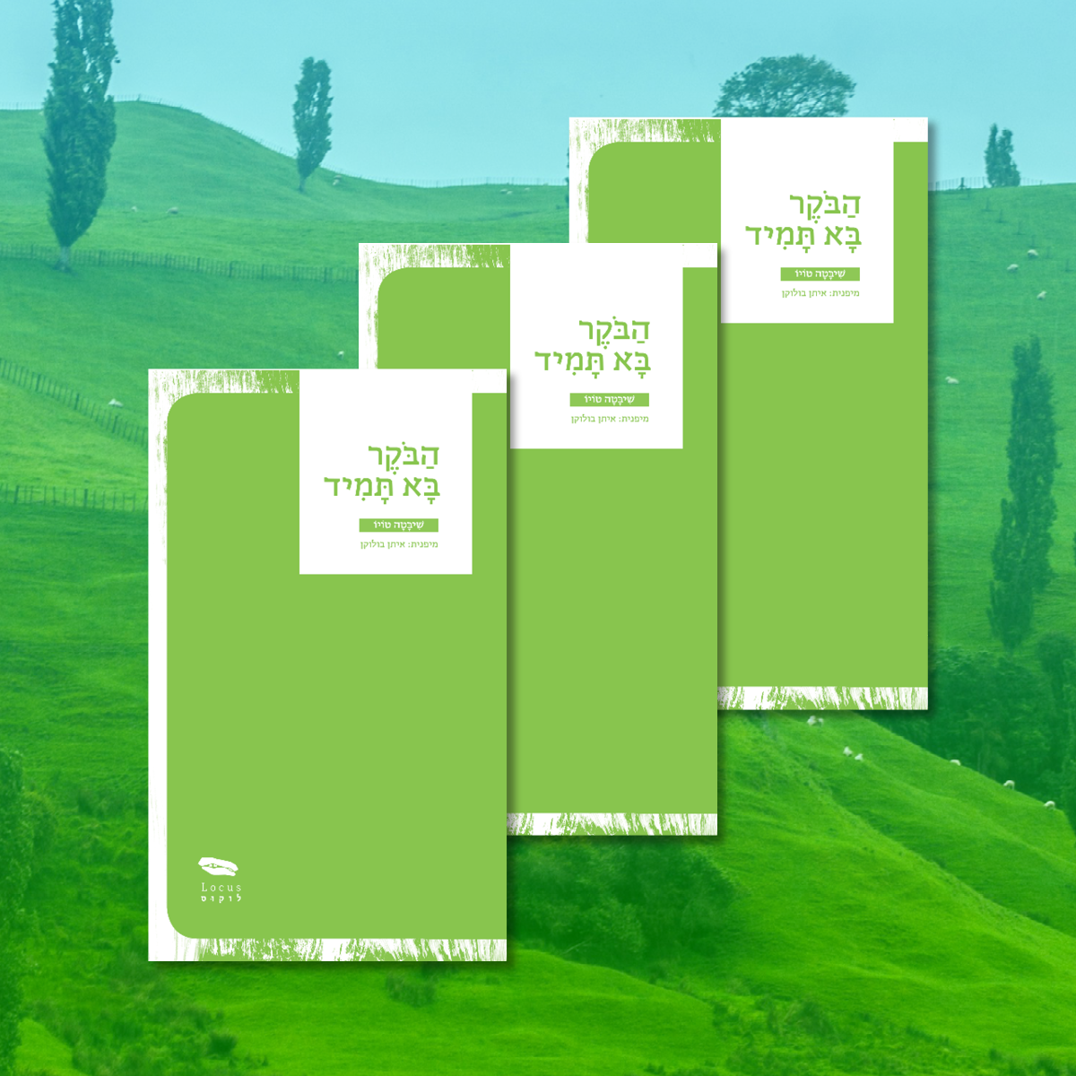 מארז הבוקר בא תמיד