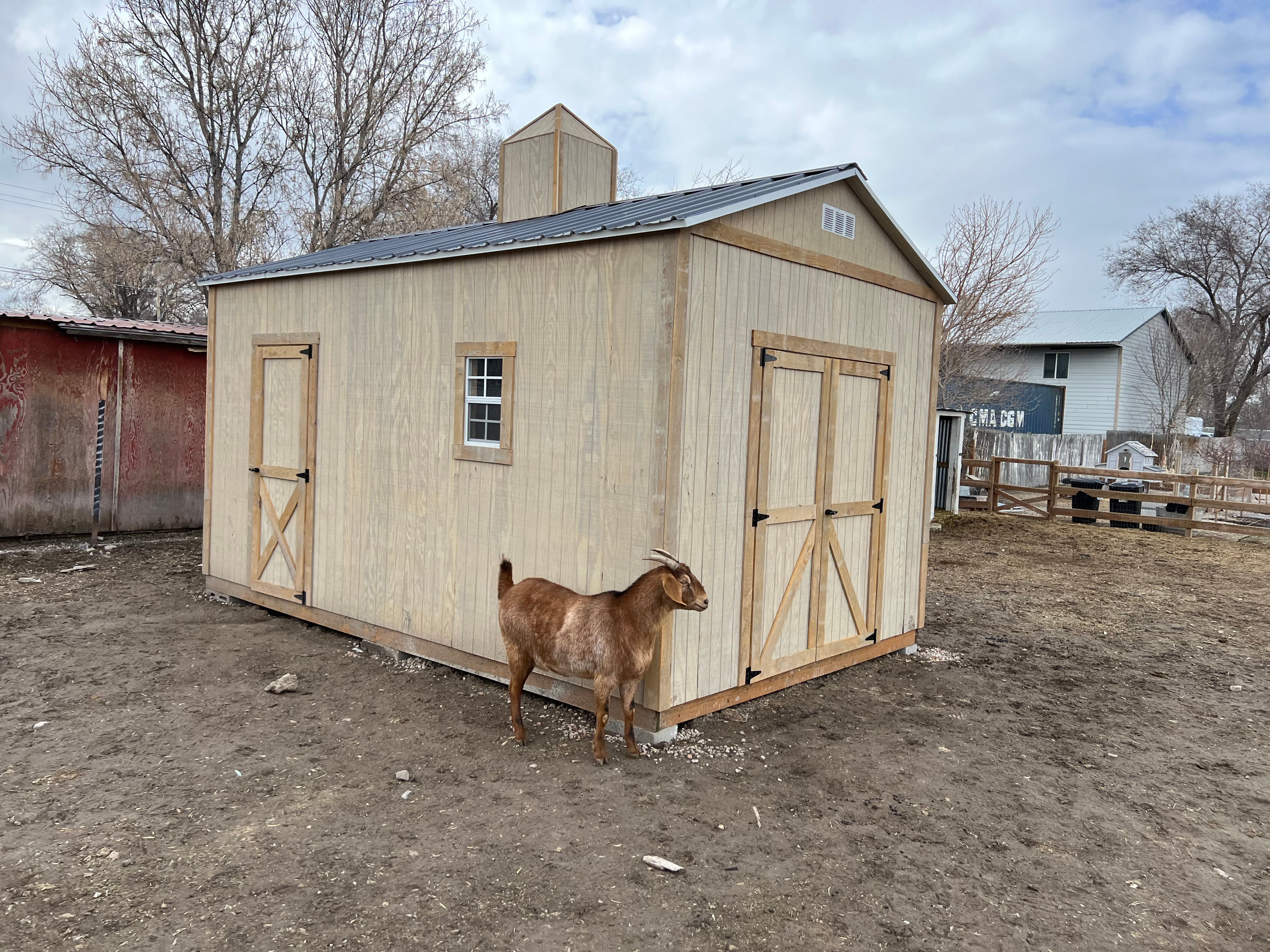 custom shed