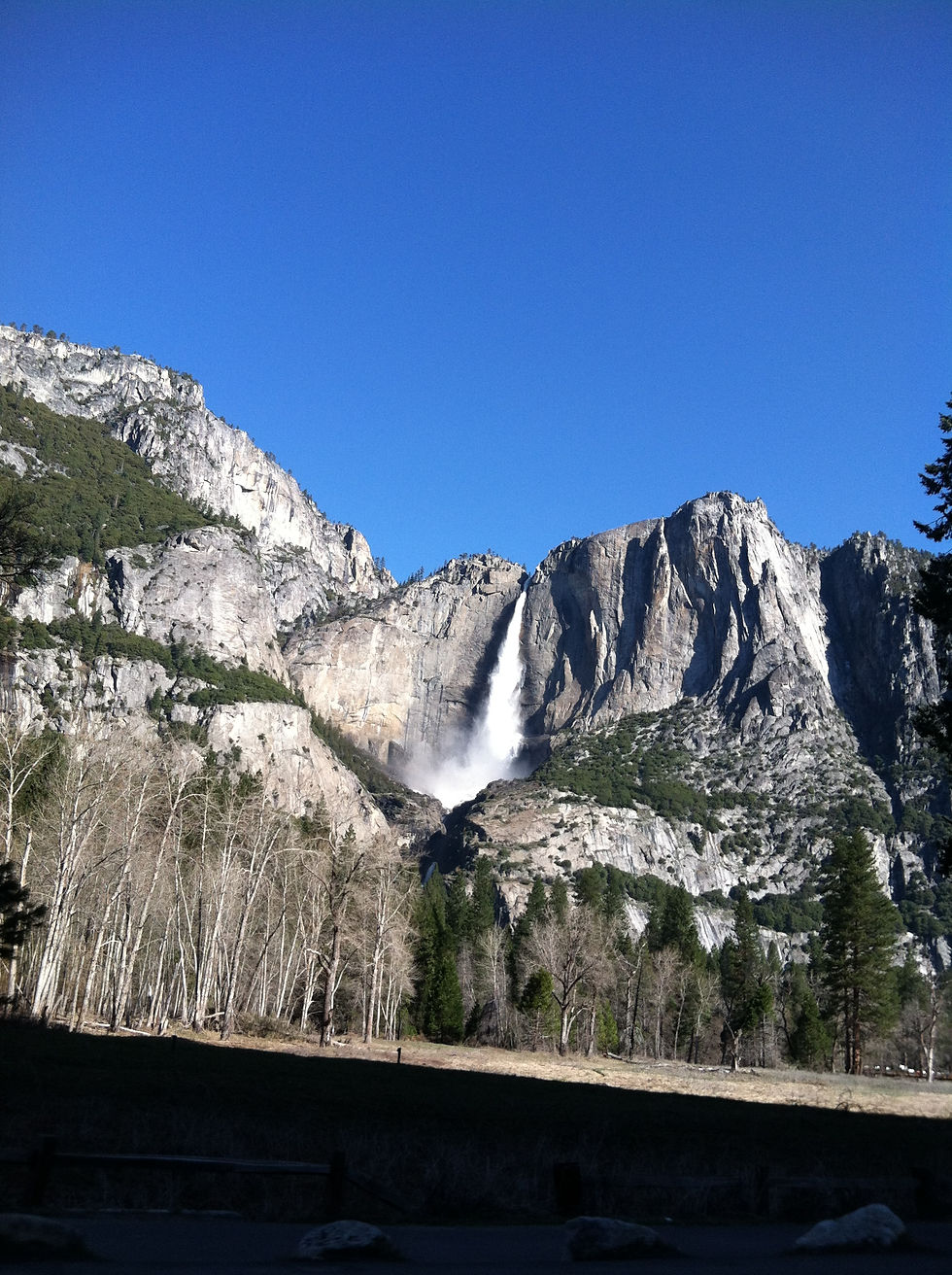 Yosemite National Park, CA