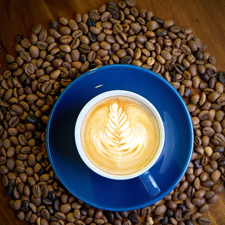Capucino