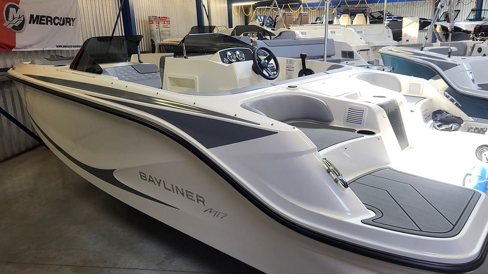 Thumbnail: Bayliner M17
