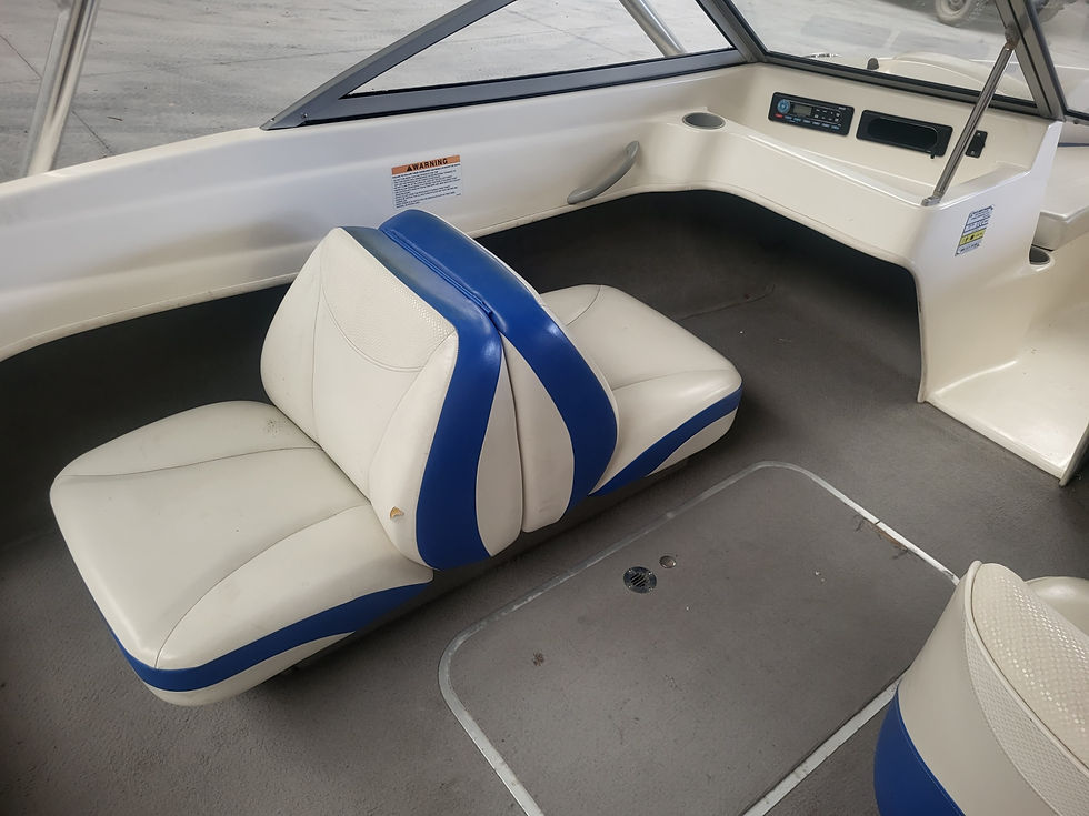 Thumbnail: Bayliner 175 Flight