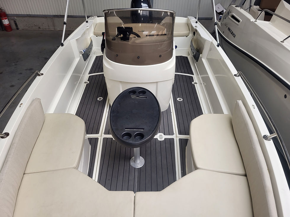 Miniature : Karnic smartone 55