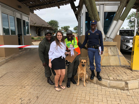 Stories of the Gate Guards of Crocodile Bridge