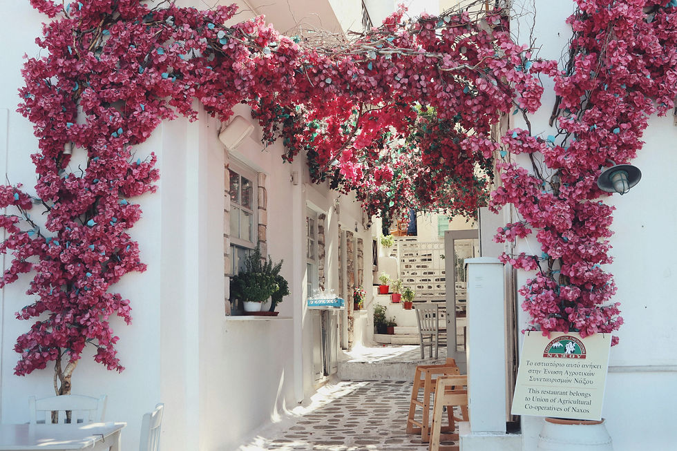 Pinke Blumen, die sich um weiss getünchtes Haus auf Naxos ranken