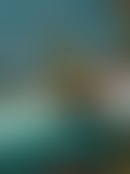 Reiseplanung mit Reiseberaterin: So vermeidest du typische Fehler und planst stressfrei deine Traumreise