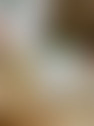 Matcha in Japan: Genuss, Kultur & Inspiration mit jedem Schluck