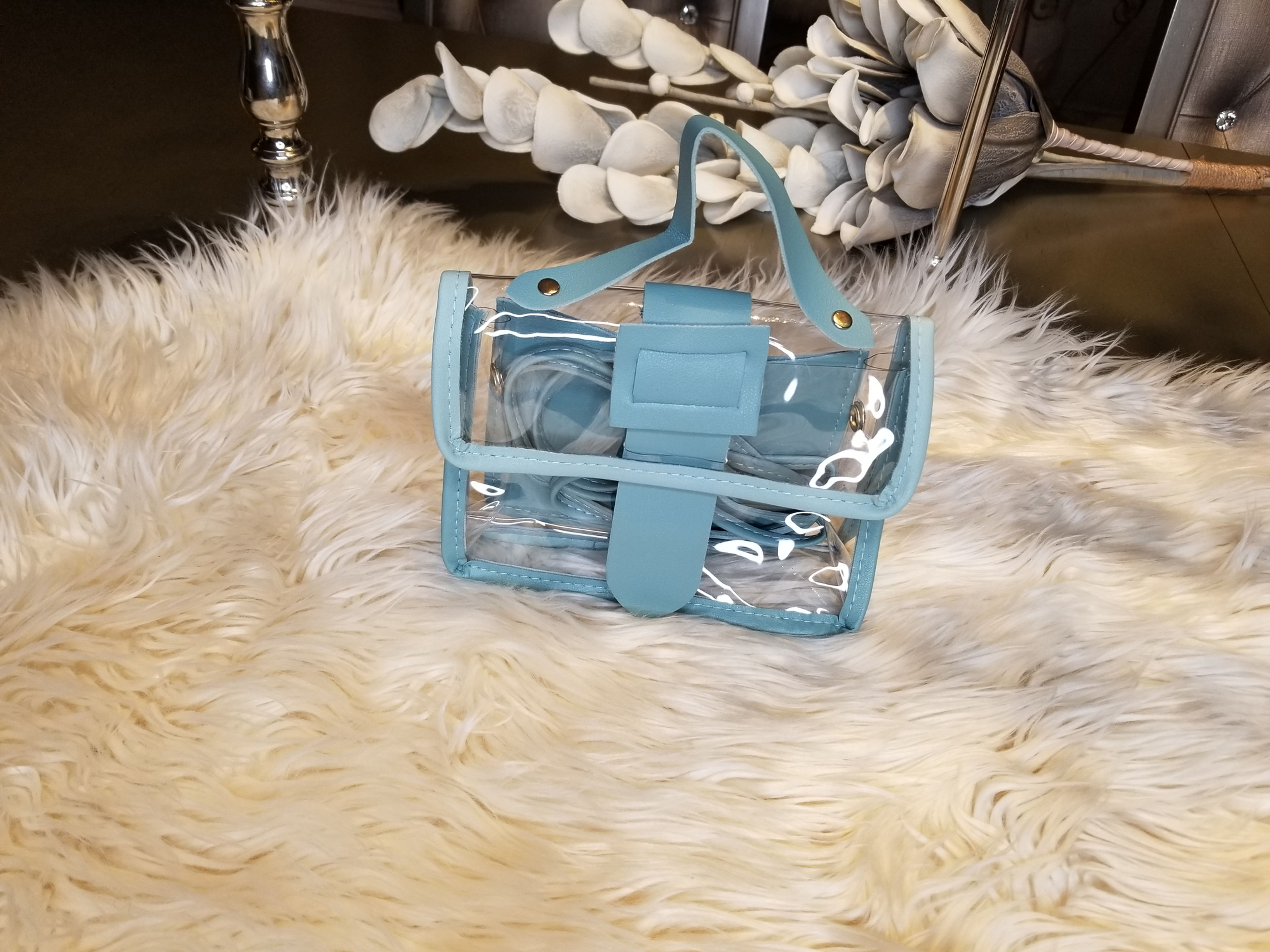 Transparent mini bag