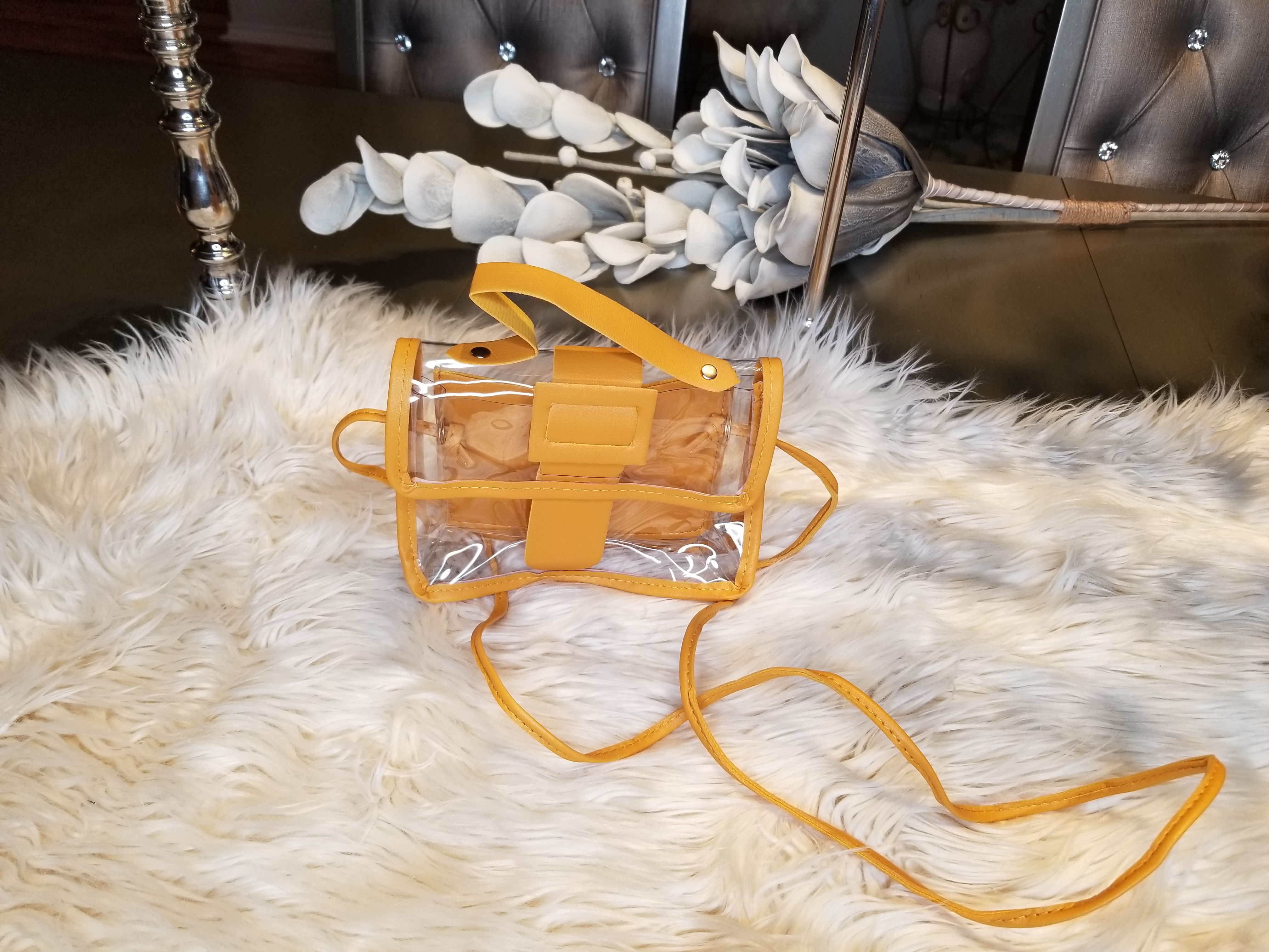 Transparent mini bag