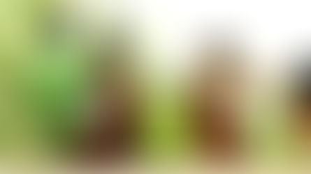 Diferencia entre Aceites Vegetales y Esenciales