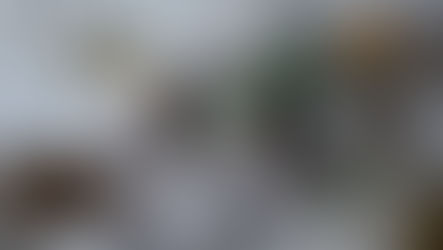 Arcillas para tu rostro