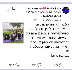 המלצה