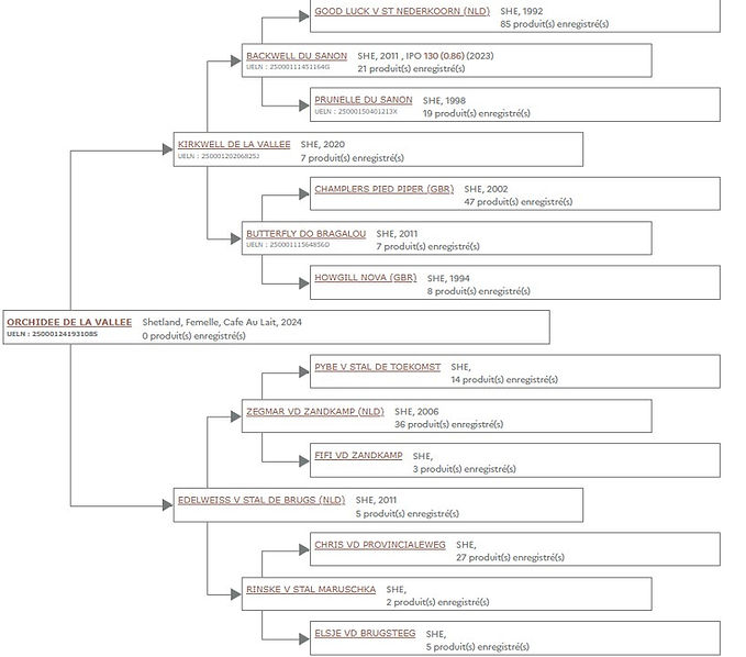 Capture d’écran 2025-10-13 184237.jpg